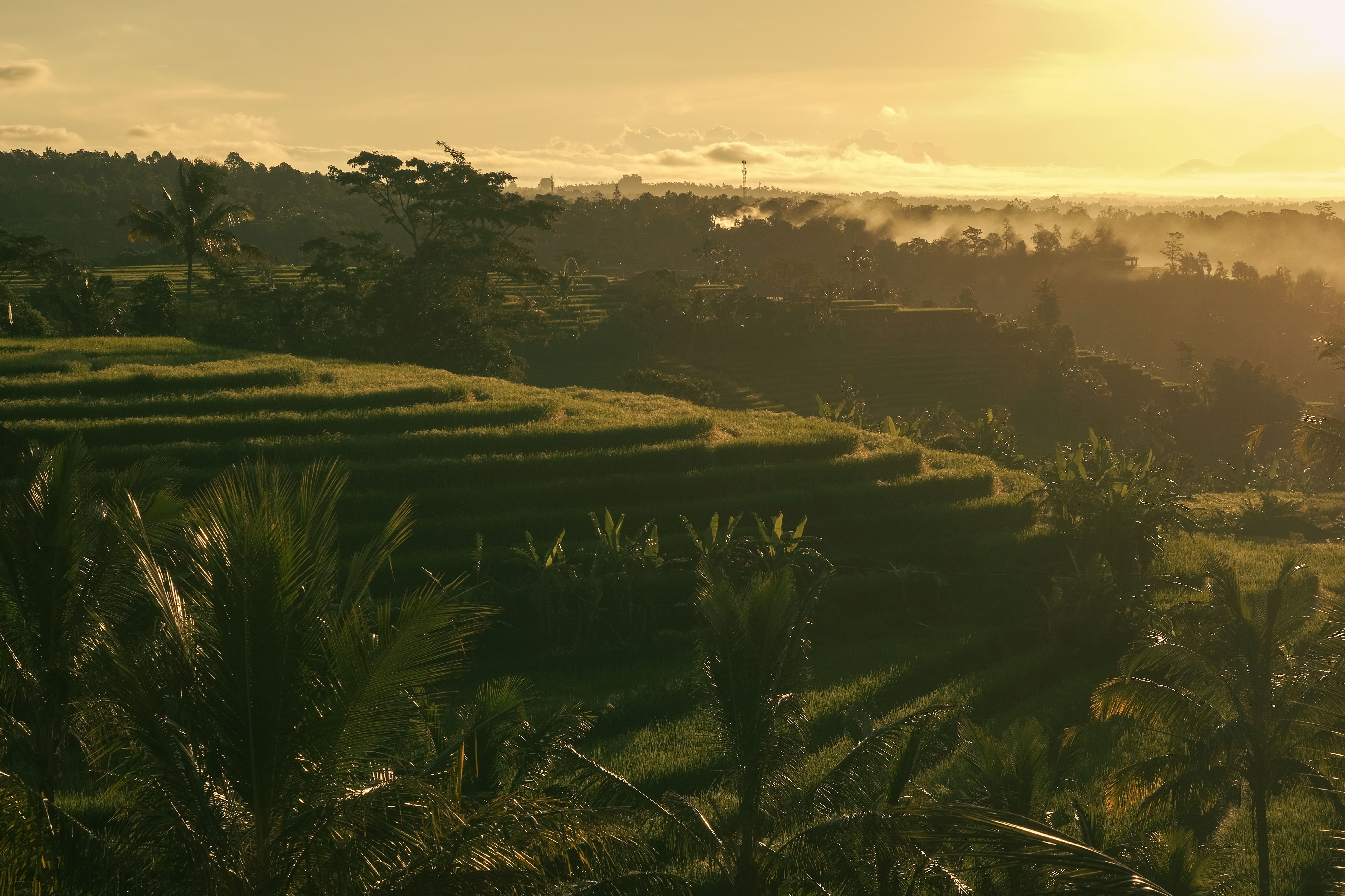 Bali's Best for Families — photo 1